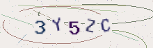 CAPTCHA security image