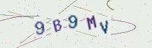 CAPTCHA security image