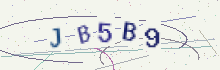 CAPTCHA security image