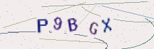 CAPTCHA security image