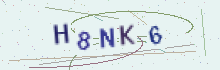 CAPTCHA security image