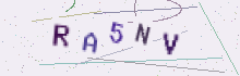 CAPTCHA security image
