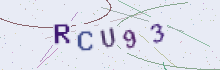 CAPTCHA security image