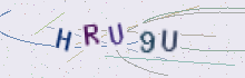 CAPTCHA security image