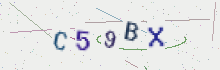 CAPTCHA security image