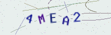 CAPTCHA security image
