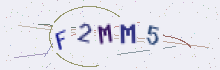 CAPTCHA security image
