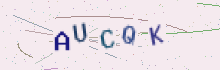 CAPTCHA security image