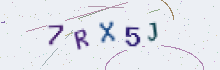 CAPTCHA security image