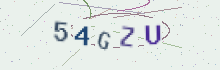 CAPTCHA security image