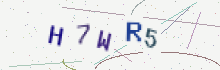 CAPTCHA security image