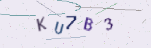 CAPTCHA security image