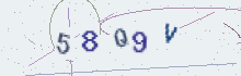 CAPTCHA security image