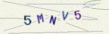 CAPTCHA security image