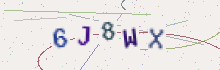 CAPTCHA security image