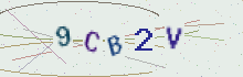 CAPTCHA security image