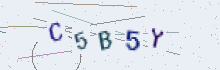 CAPTCHA security image