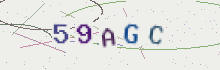 CAPTCHA security image