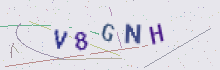 CAPTCHA security image