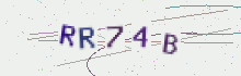 CAPTCHA security image
