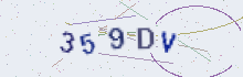 CAPTCHA security image