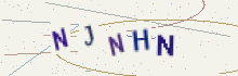 CAPTCHA security image