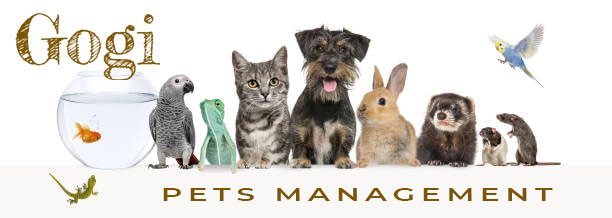GOGI - Pets Management